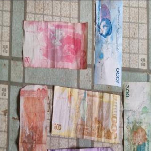 Dataset Image