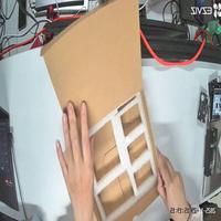 Dataset Image