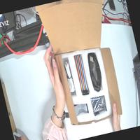 Dataset Image