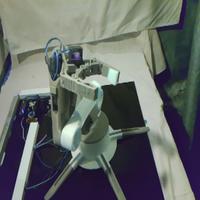 Dataset Image