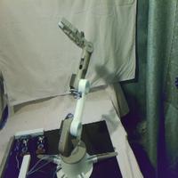 Dataset Image
