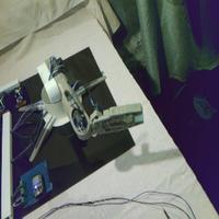 Dataset Image