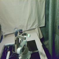 Dataset Image
