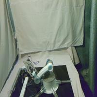 Dataset Image