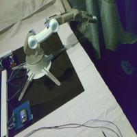 Dataset Image