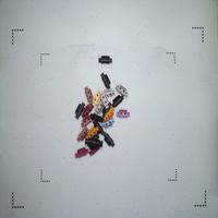 Dataset Image