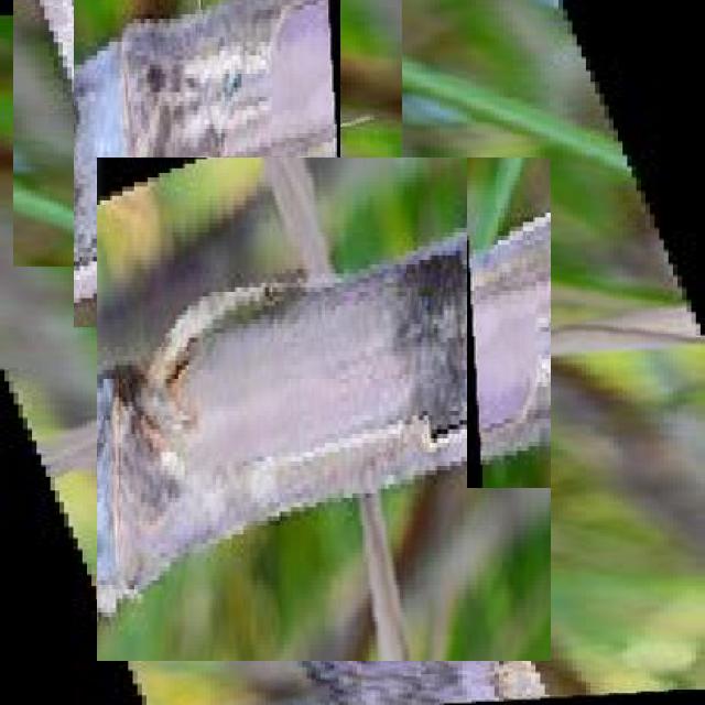 Dataset Image