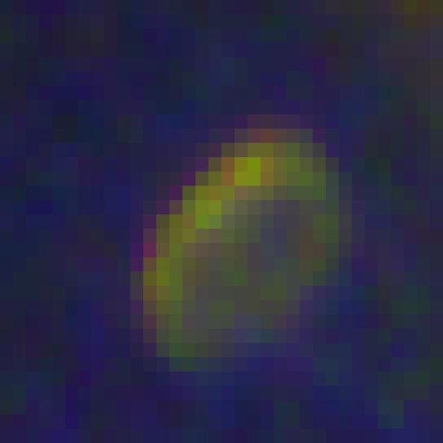 Dataset Image