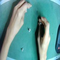 Dataset Image