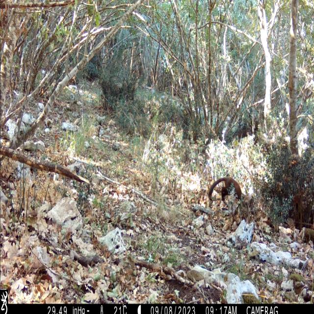 Dataset Image