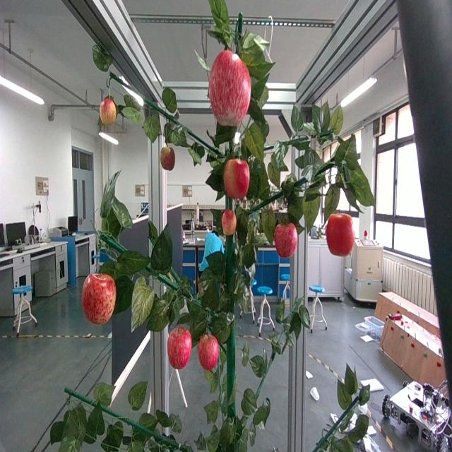 Dataset Image