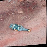 Dataset Image