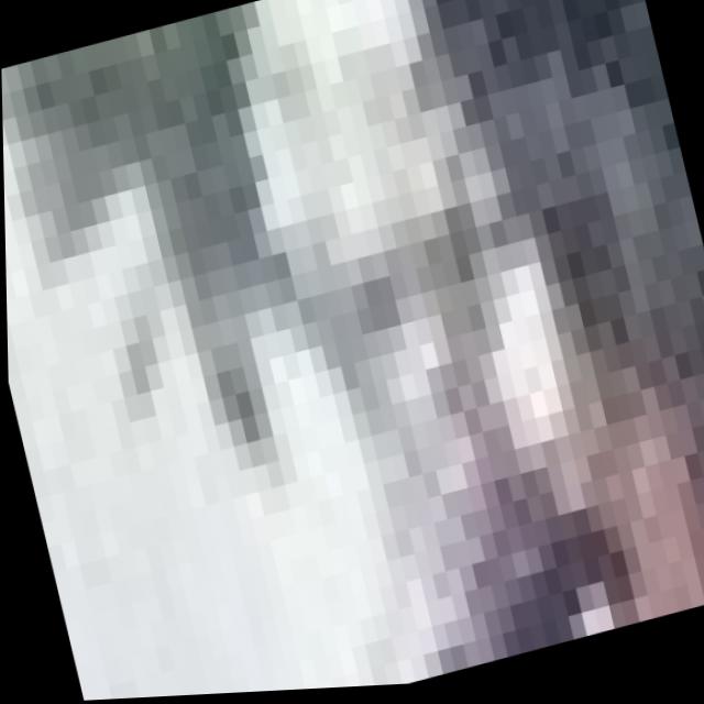 Dataset Image