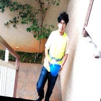 Dataset Image