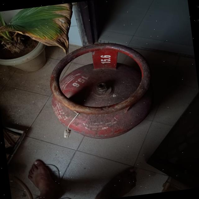 Dataset Image