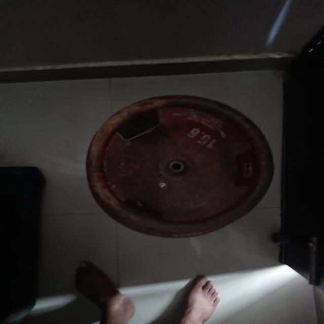 Dataset Image