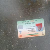 Dataset Image