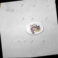 Dataset Image