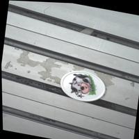 Dataset Image