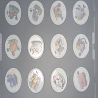 Dataset Image