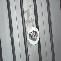 Dataset Image