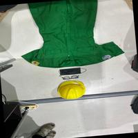 Dataset Image