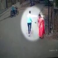 Dataset Image