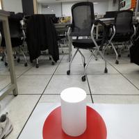 Dataset Image