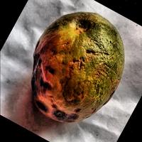 Dataset Image