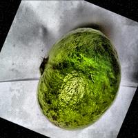 Dataset Image