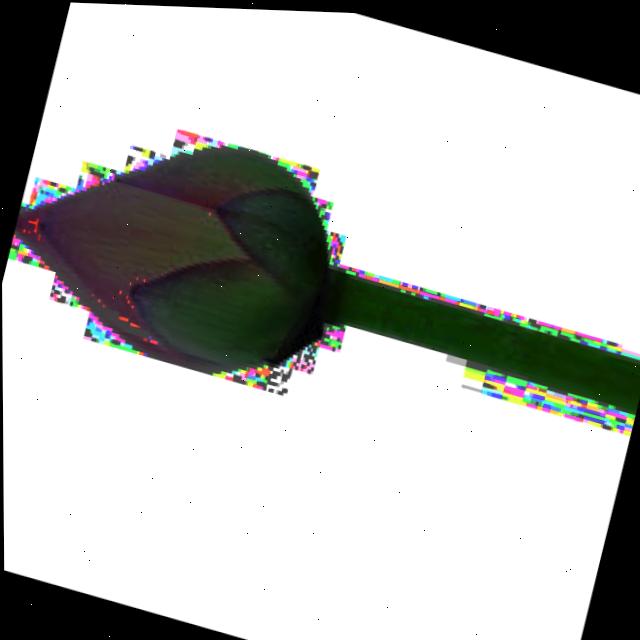 Dataset Image