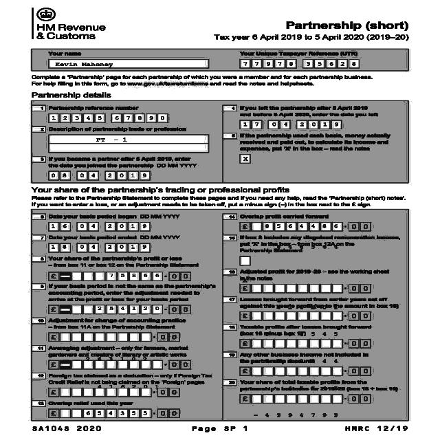 Dataset Image