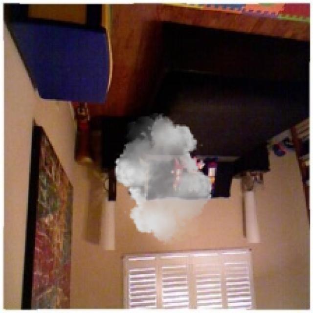 Dataset Image