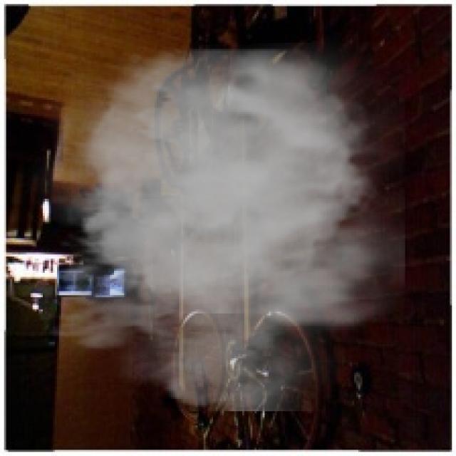 Dataset Image
