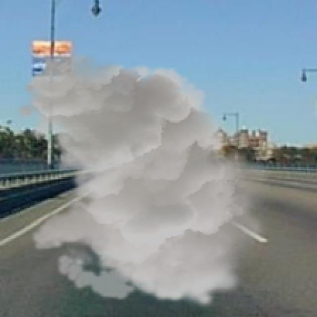 Dataset Image