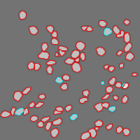 Annotation Visualization