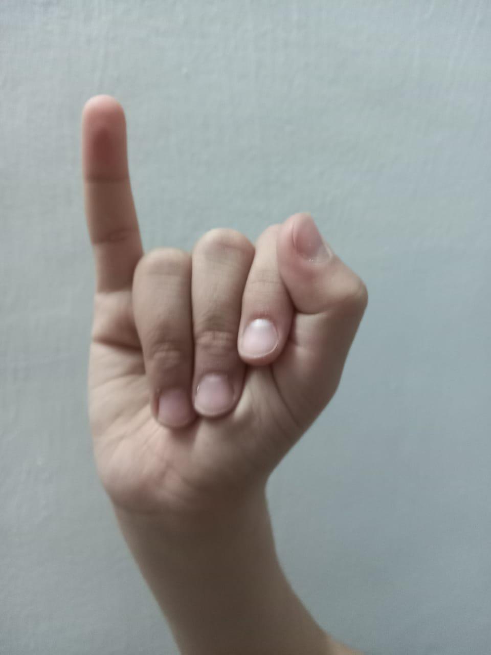 rgb arabic alphabet sign language (asl) dataset