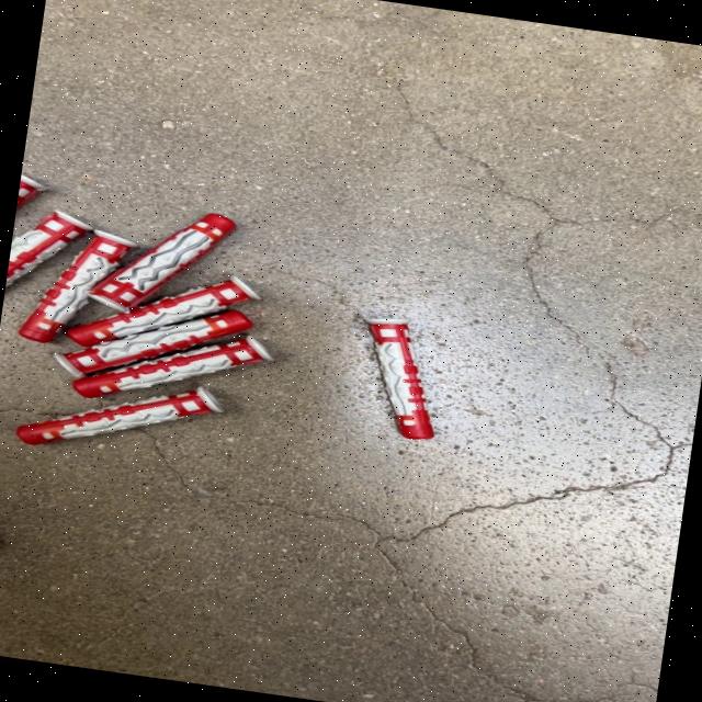 Dataset Image