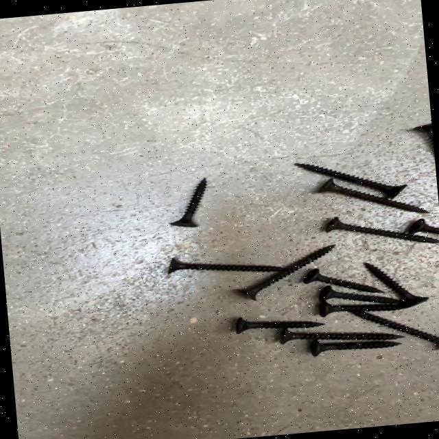 Dataset Image