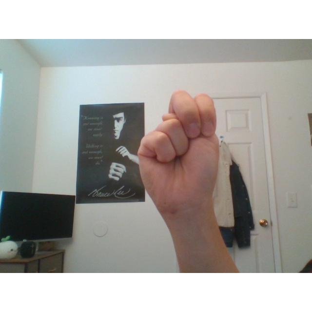 Dataset Image