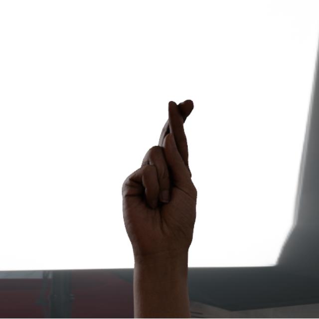 Dataset Image