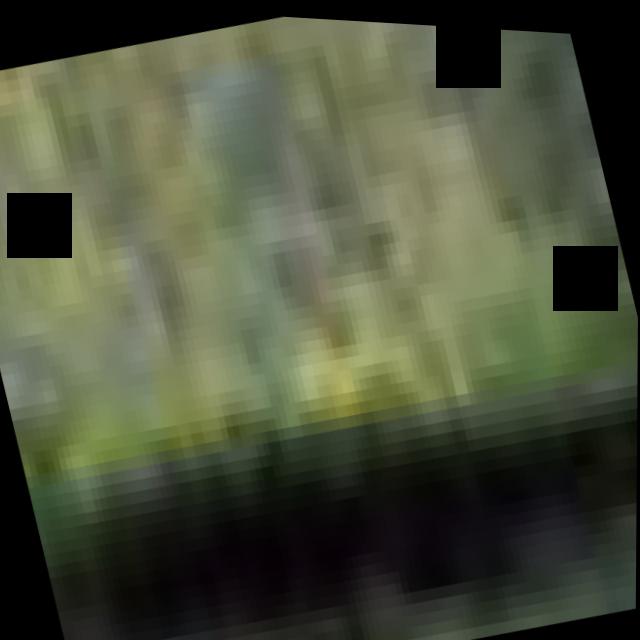 Dataset Image