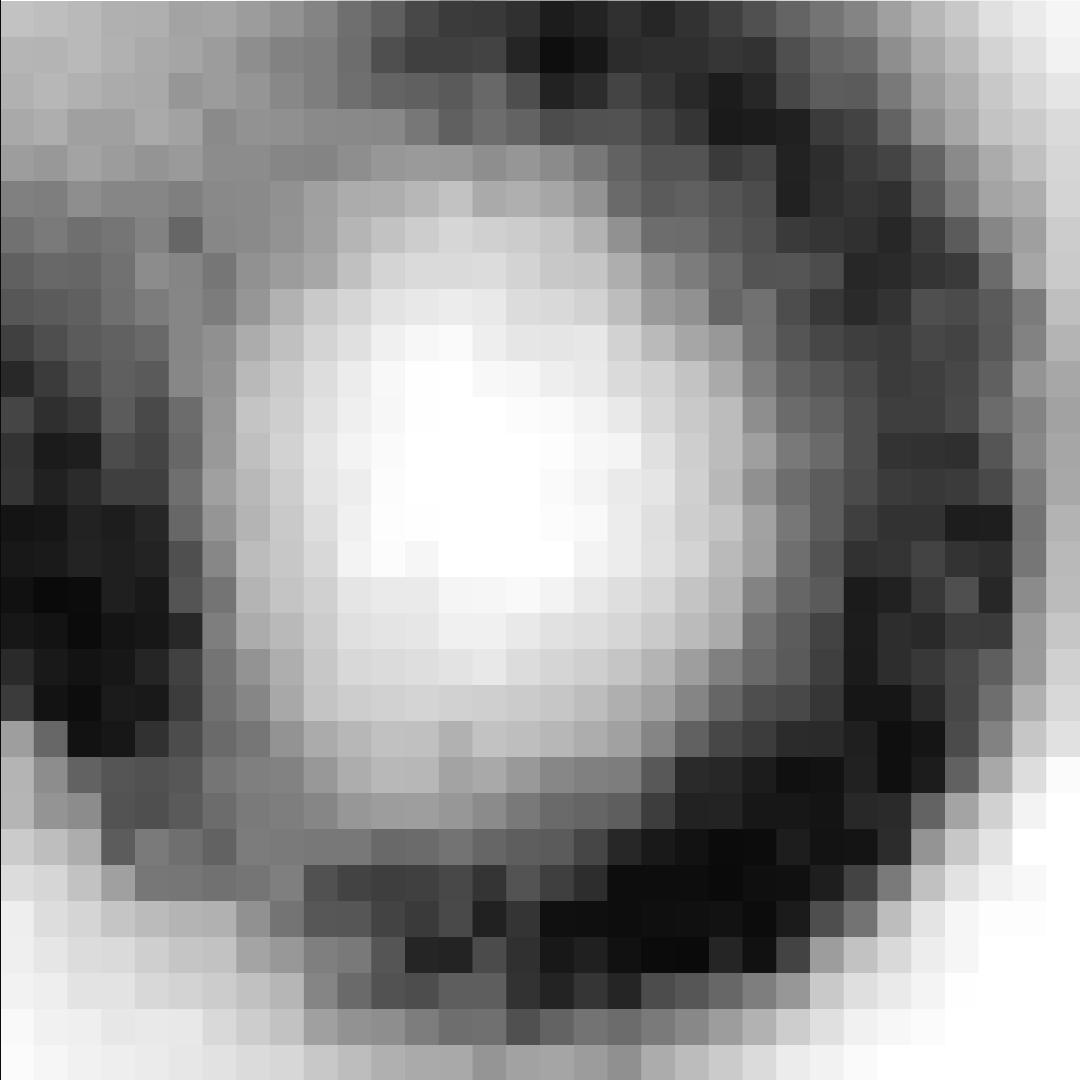 Dataset Image