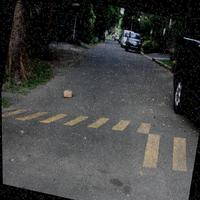 Dataset Image