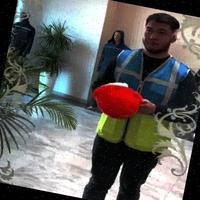 Dataset Image
