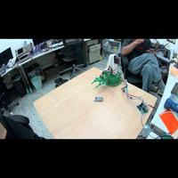 Dataset Image