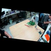 Dataset Image