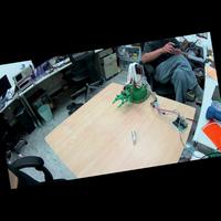 Dataset Image