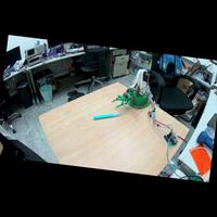 Dataset Image