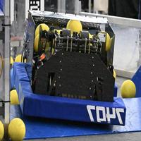 Dataset Image